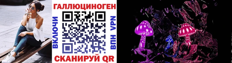 Псилоцибиновые грибы Psilocybe  Гаврилов Посад 
